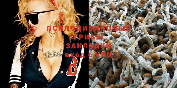 первитин Дмитриев