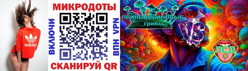 Купить  Палласовка  Галлюциногенные грибы Psilocybine cubensis 